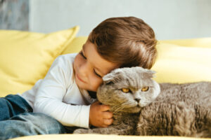 Katze und Kind fühlen sich wohl, und das soll auch so bleiben. Foto LightFieldStudios via Envato